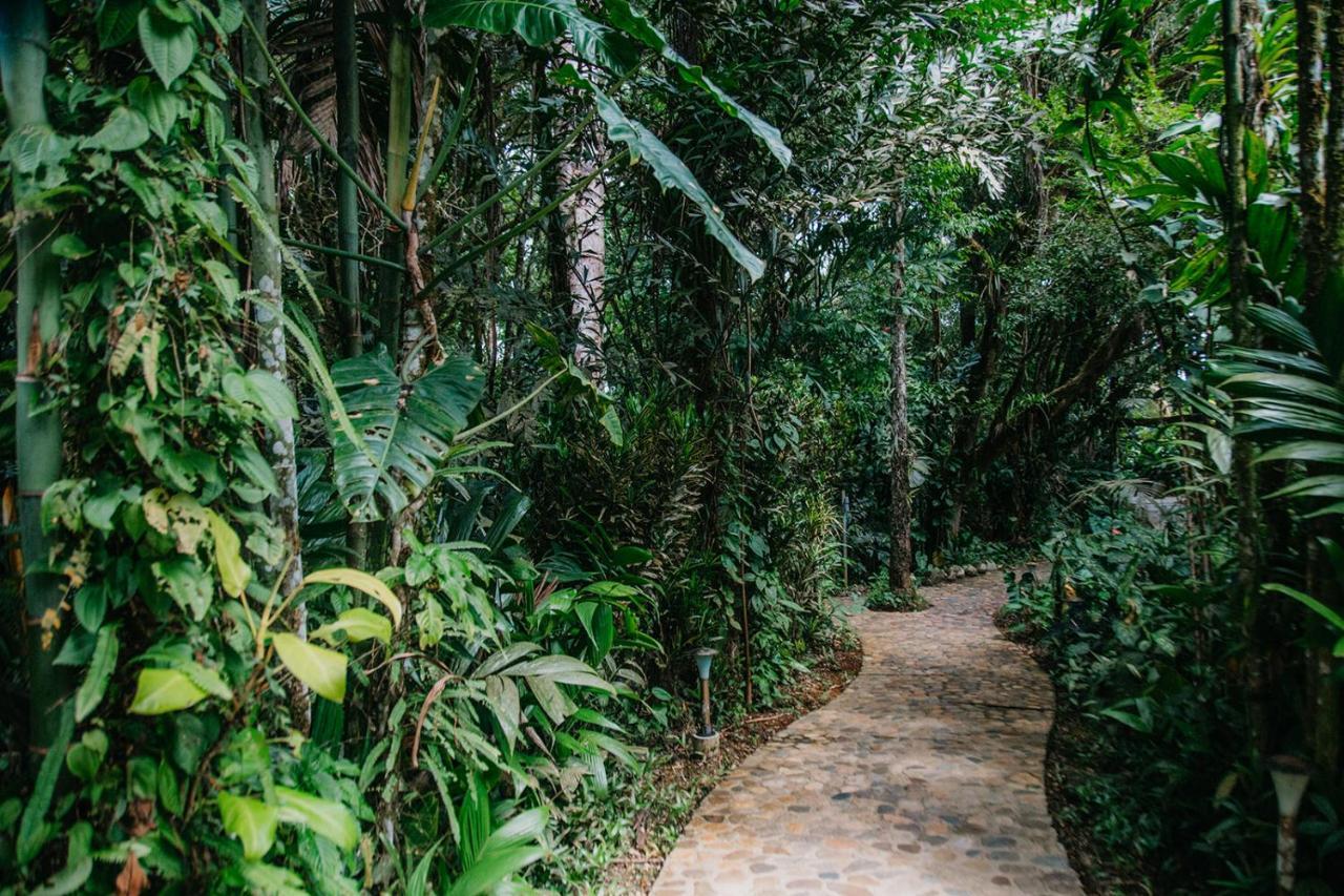 Arahuana Jungle Resort & Spa Tena Exterior foto